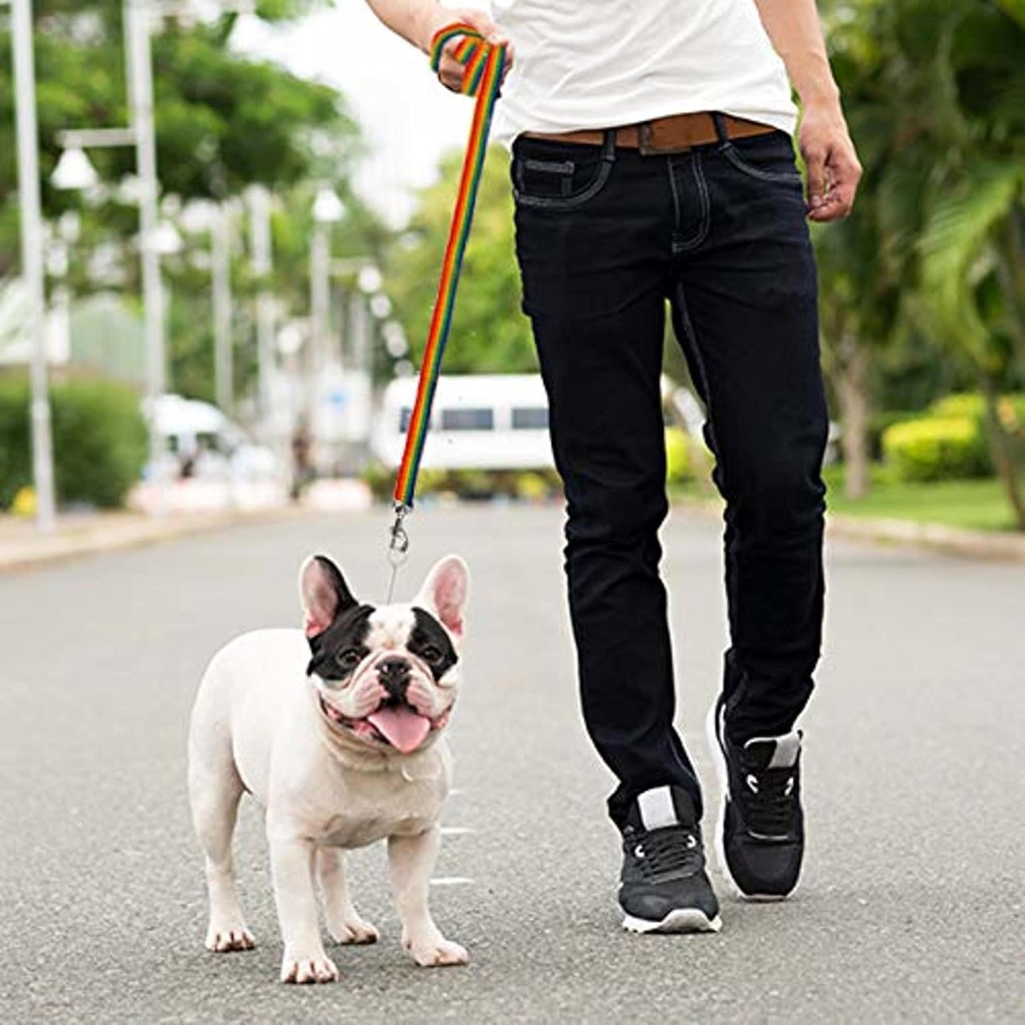 - Long Dog Leash - Dog Training Leash - Recall & Obedience Dog Training Tools - Nylon - 30 Ft - Rainbow Dog Leash