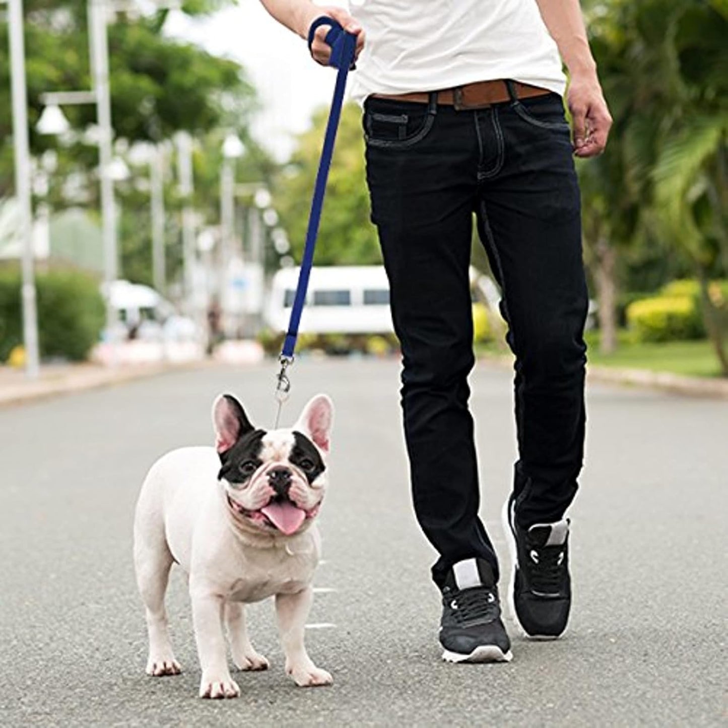 - Long Dog Leash - Dog Training Leash - Recall & Obedience Dog Training Tools - Nylon - 15 Ft - Blue Dog Leash