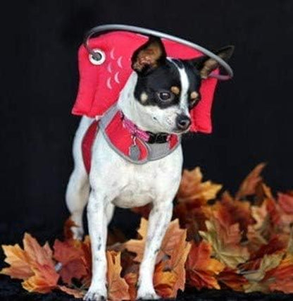 Muffin’S Halo® – the Original Blind Dog Halo | Harness & Bumper Collar Accessory for Safe Navigation & Confidence – Red, Size 6