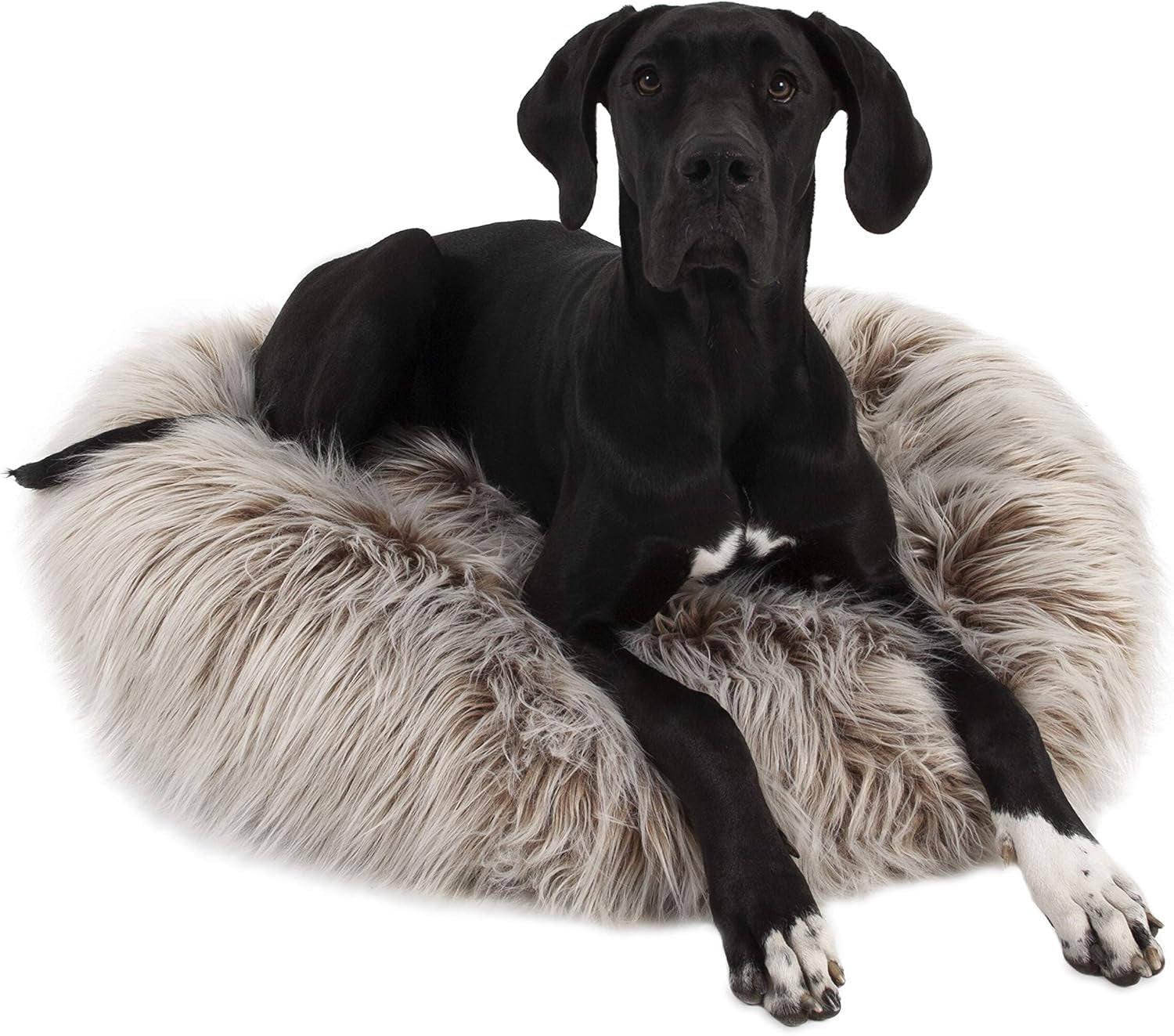 Glam Pet Donut Lounger Pet Bed, Medium, 32"