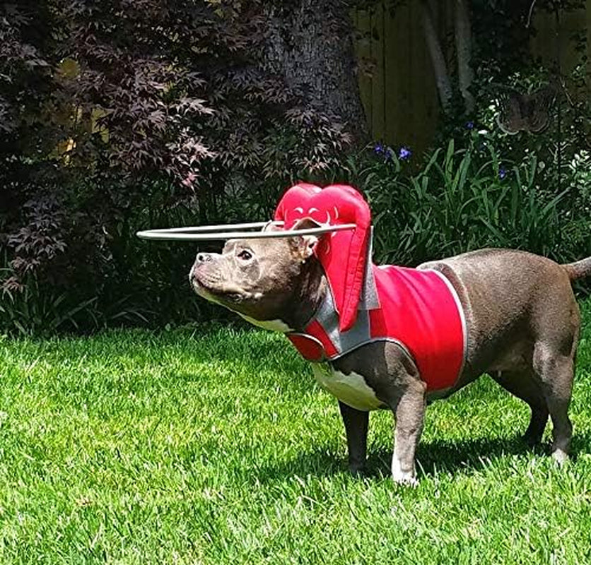 Muffin’S Halo® – the Original Blind Dog Halo | Harness & Bumper Collar Accessory for Safe Navigation & Confidence – Red, Size 6
