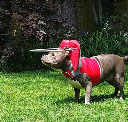 Muffin’S Halo® – the Original Blind Dog Halo | Harness & Bumper Collar Accessory for Safe Navigation & Confidence – Red, Size 6
