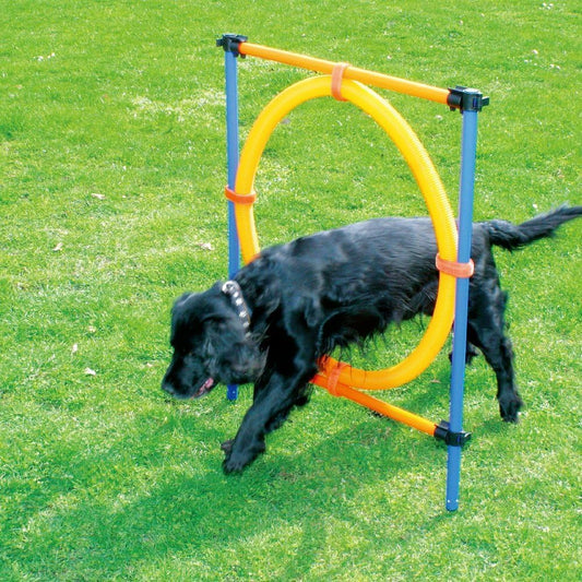 Dog Training Exercise Equipment,Dog Agility Training Equipment,Dog Jump Ring Outdoor,Playground Equipment Outdoor