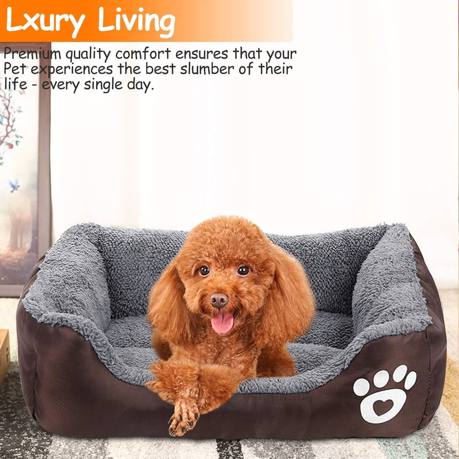 Dog Bed, Super Soft Pet Sofa Cats Bed, Non Slip Bottom Pet Lounger,Self Warming and Breathable Pet Bed Premium Bedding (M)-Coffee