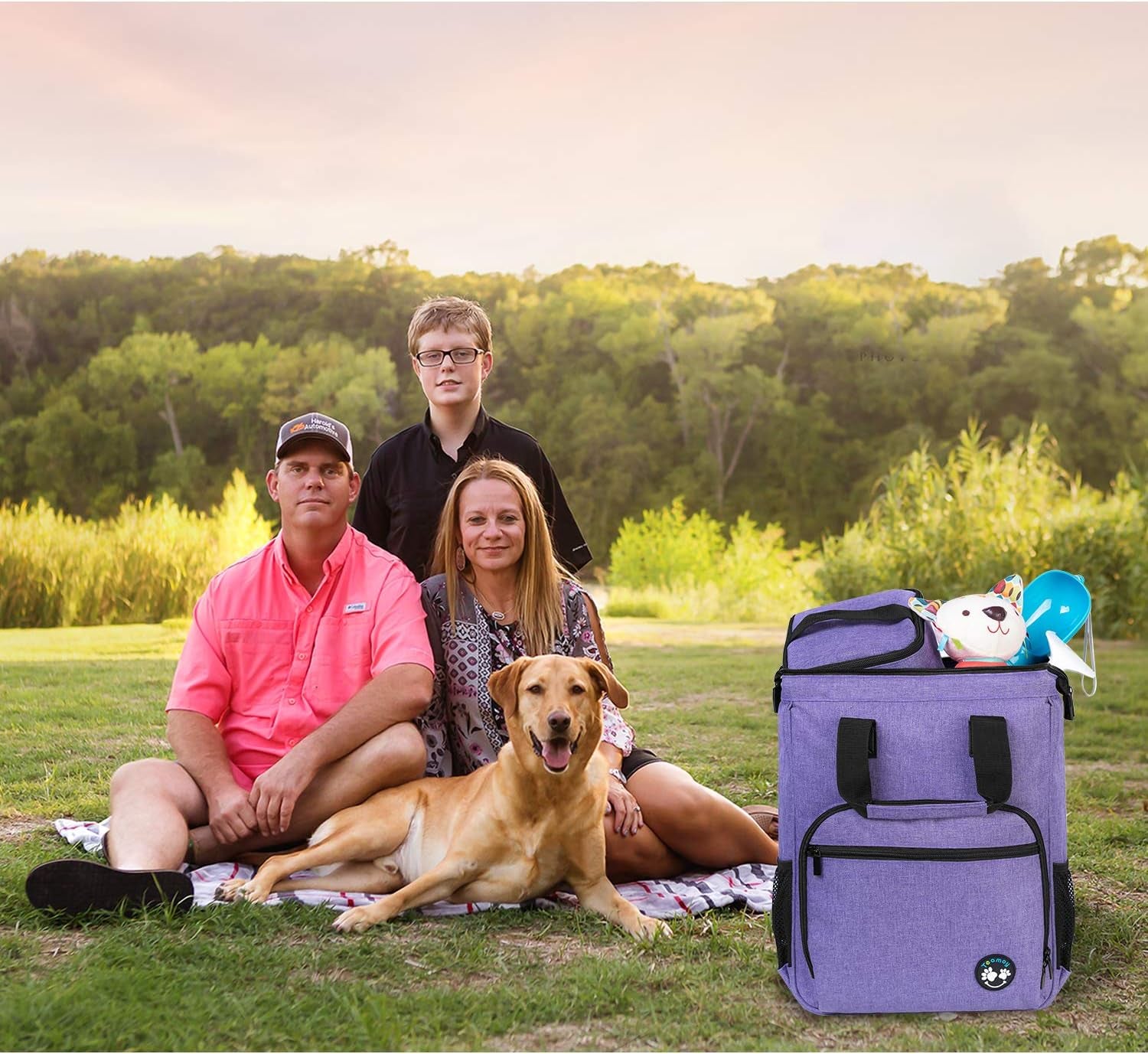 Dog Travel Backpack Pet Supplies Tote Bag Weekend Dog Backpack, Airline Approved Tote Organizer for Dogs and Cats with Multi-Function Pockets, Purple