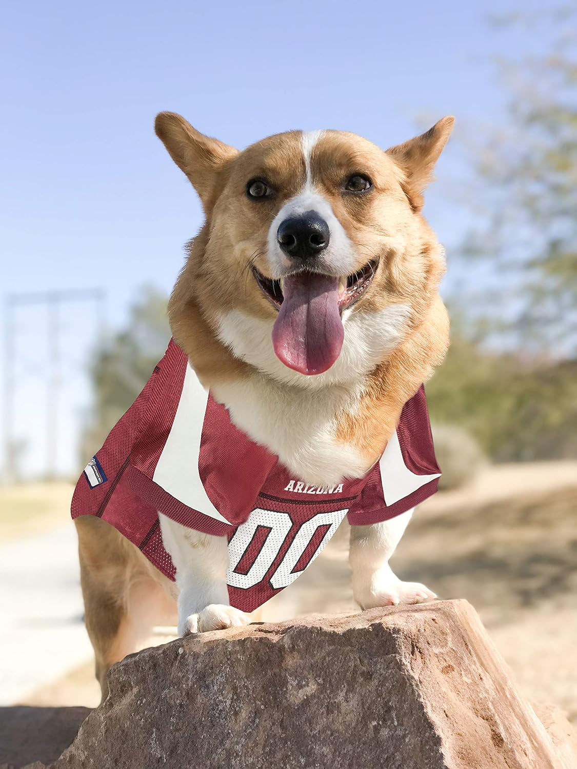 NFL Arizona Cardinals Dog Jersey, Size: Large. Best Football Jersey Costume for Dogs & Cats. Licensed Jersey Shirt