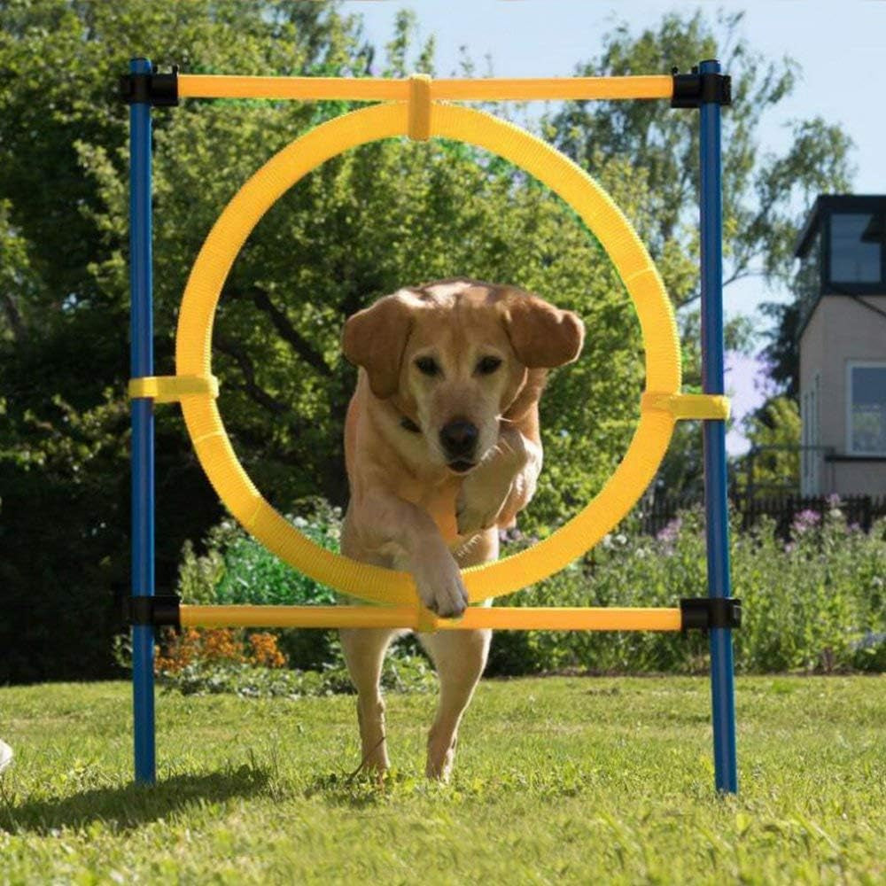 Dog Training Exercise Equipment,Dog Agility Training Equipment,Dog Jump Ring Outdoor,Playground Equipment Outdoor