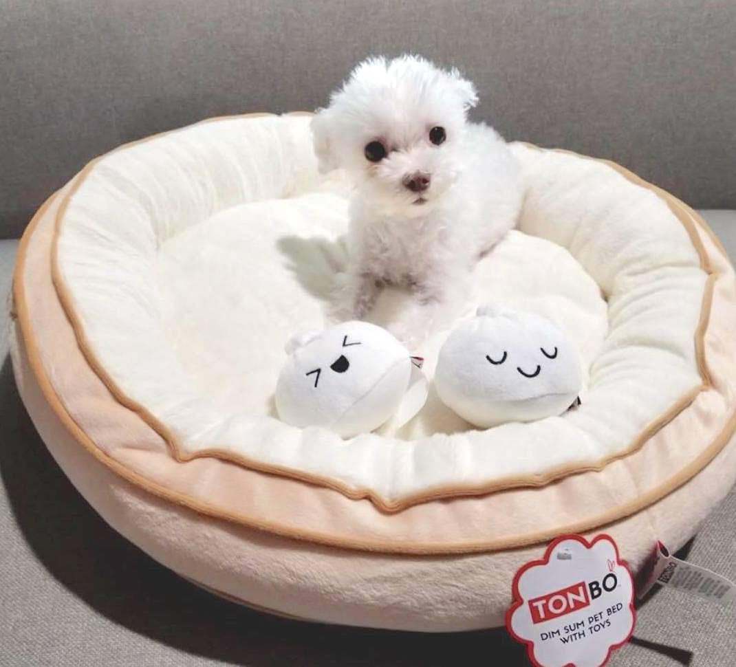 Soft Plush Small Cute and Cozy Food Dog Cat Bed, Washer and Dryer Friendly (Dim Sum)