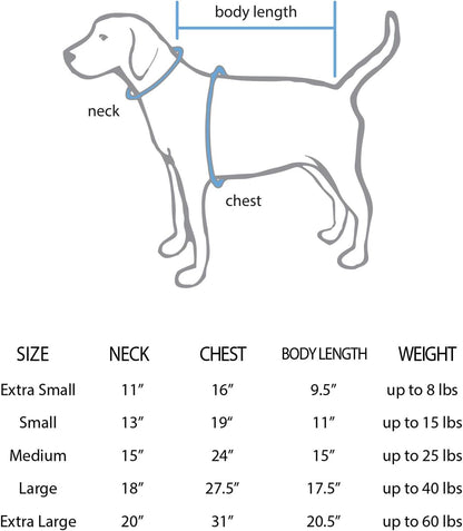 NCAA Unisex-Adult NCAA Premium Pet Jersey