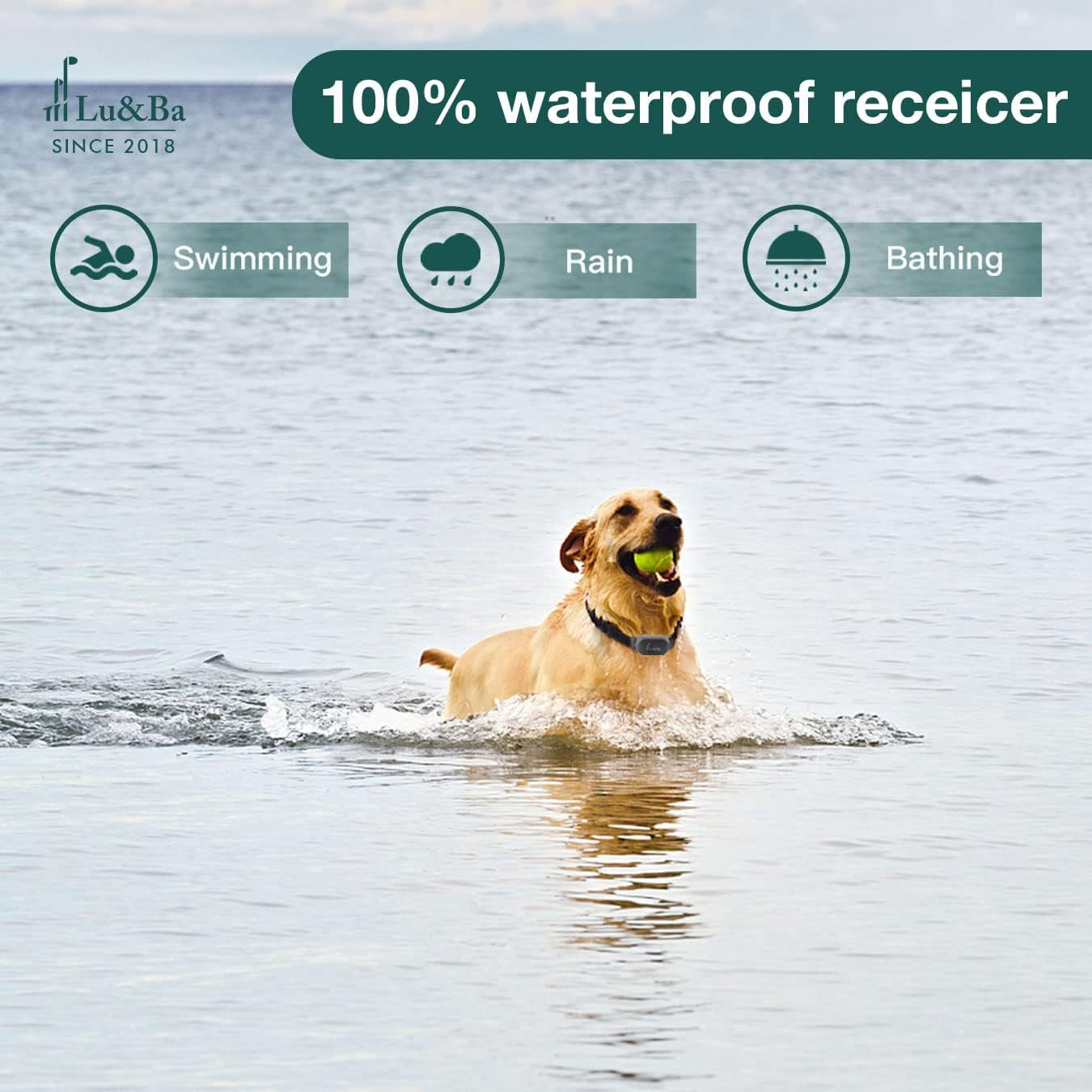 Dog Shock Collar, Rechargeable Dog Training Collar with Remote 3000Ft Waterproof E Collar with 3 Safe Mode Beep Vibration and 16 Shock Level for 10-110Lb Small Medium Large Dogs