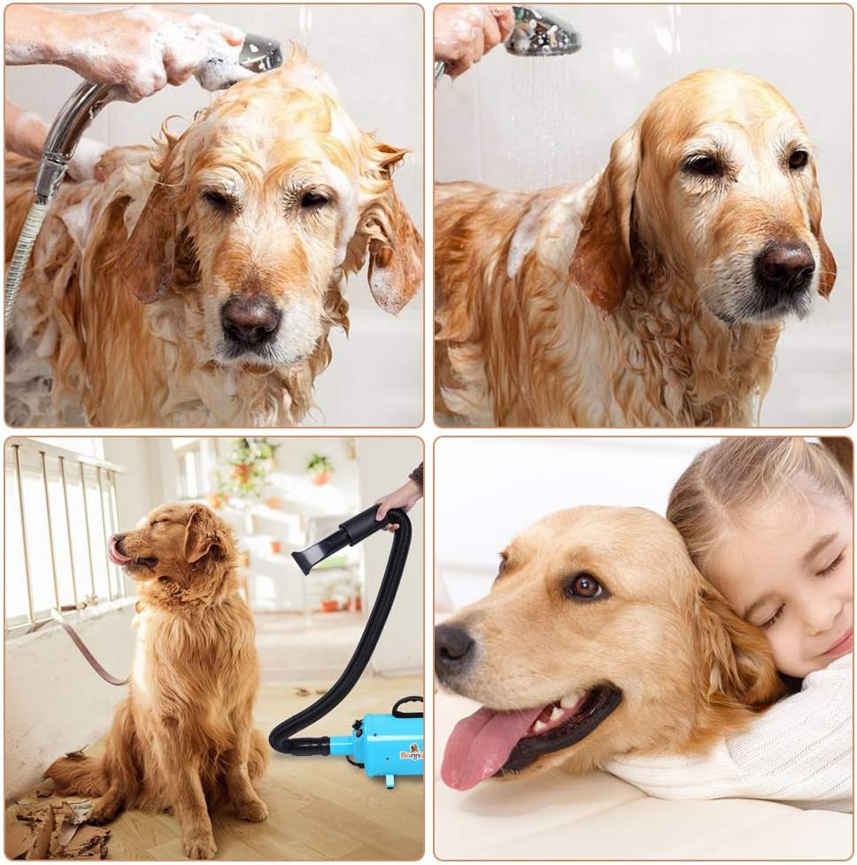 2400W 3.2HP Stepless Adjustable Speed Pet Dryer Dog Hair Dryer Pet Grooming Blower with Heater Quick - 4 Different Nozzles (Single Motor)(Blue)