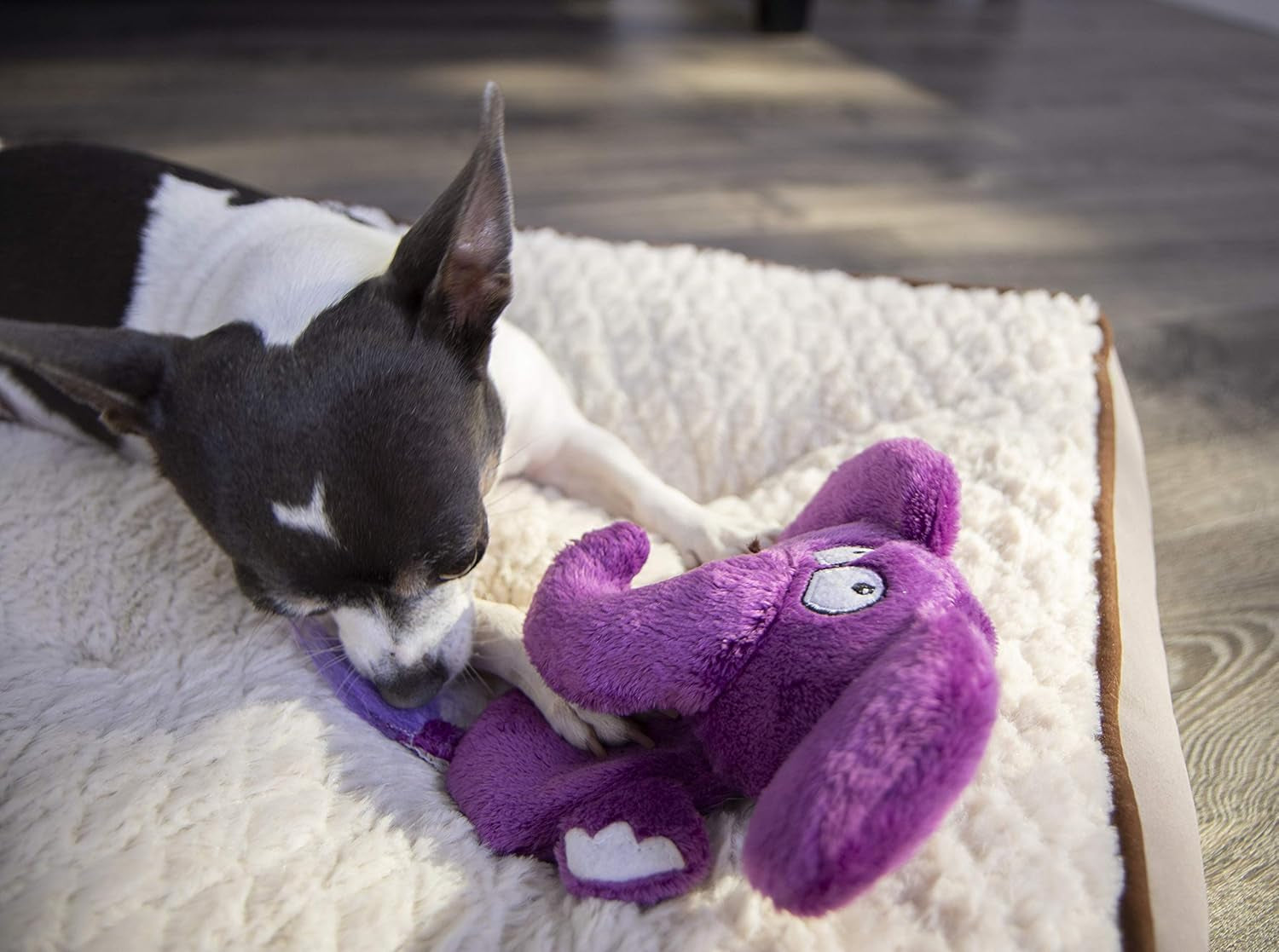 ! Flattie Elephant Silent Squeak Plush Dog Toy W/ Chew Guard Technology - Purple, Mini