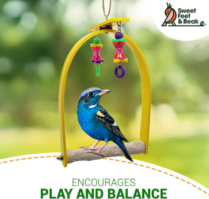 Small Whirly Bird - Perfect Cage Toy Stimulates Visual and Physical Activity - Safe, Non-Toxic, Cage Accessories for Small Birds