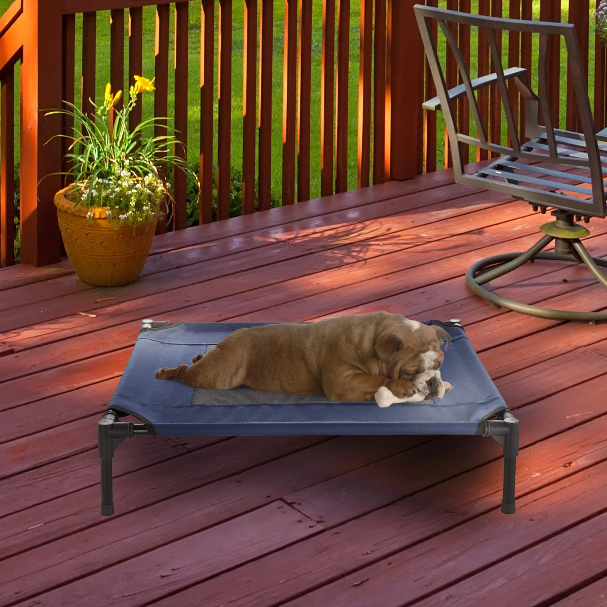 Elevated Pet Bed-Portable Raised Cot-Style Bed W/ Non-Slip Feet 24.5?X 18.5?X 7? for Dogs Cats and Small Pets-Indoor/Outdoor Use by  (Gray)