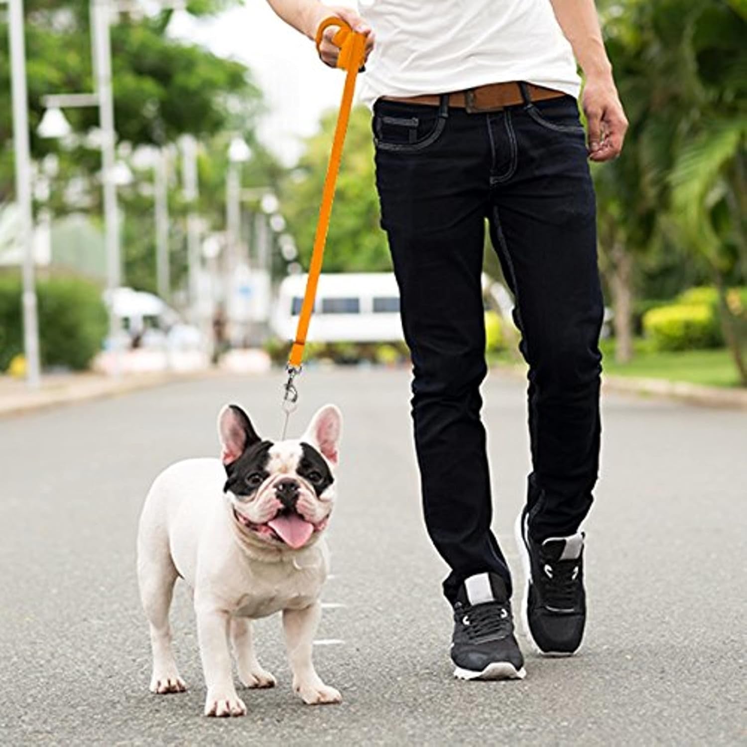 - Long Dog Leash - Dog Training Leash - Recall & Obedience Dog Training Tools - Nylon - 150 Ft - Orange Dog Leash
