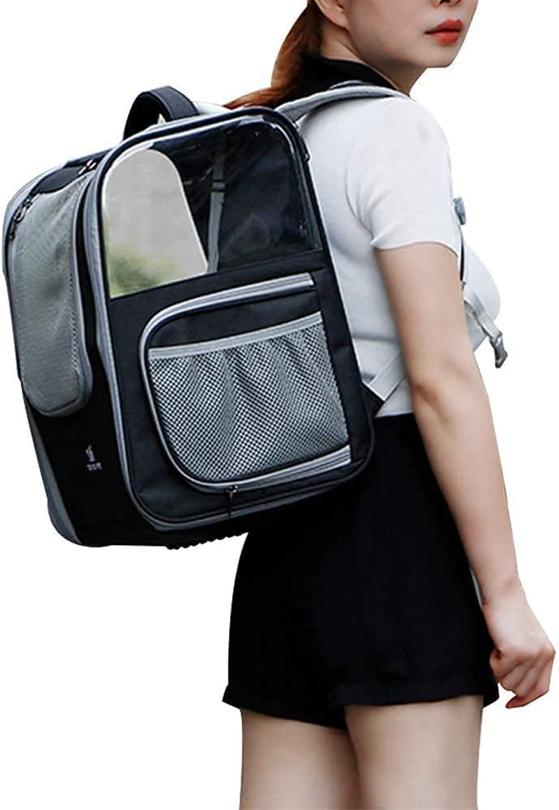 Pet Carrier Backpack Expandable Collapsible Dog Backpack Carrier for Small Dogs Cats, Breathable Pet Backpack Bag for Travel (11Black)
